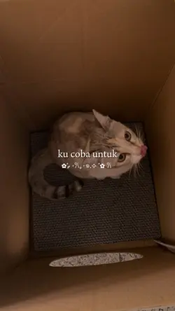 Kucoba 