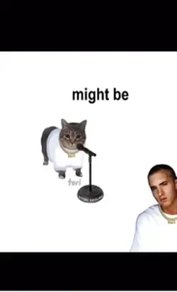 Slim shady U I A