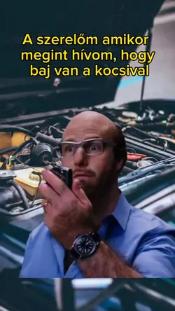 bzd arzon magad