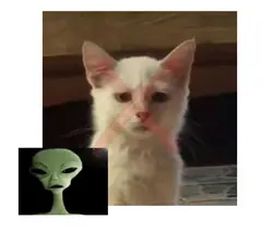 alien meme