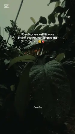 bangla status 