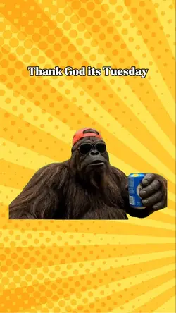 Its Tuesday

