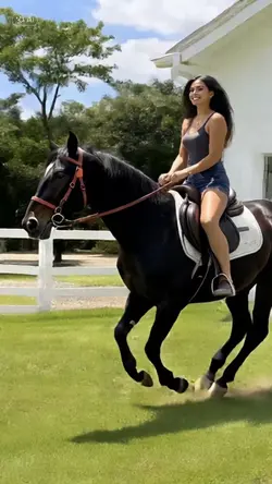 cavalo ia