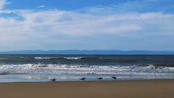 海　テンプレート　