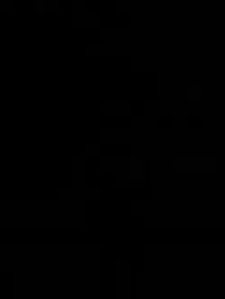 বিরক্ত করা ছেরে দিসি