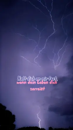 Halt mich fest 