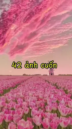 42 ảnh ❤️
