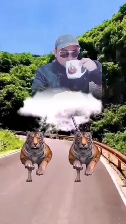 eagle vs tiger race