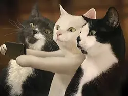 foto selfie ber3
