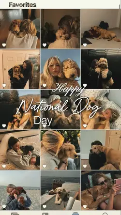 National Dog Day