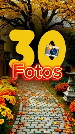 30 fotos