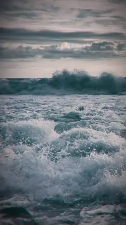mẫu 2 ảnh