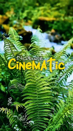 Cinematic 7 video