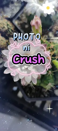 Gusto Kita