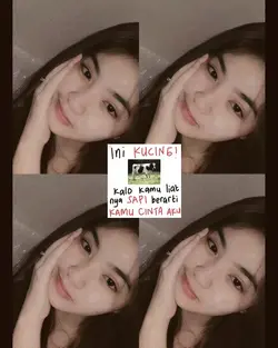 ini sapi ini kucing 