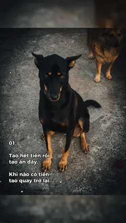 Tao hết tiền rồi..