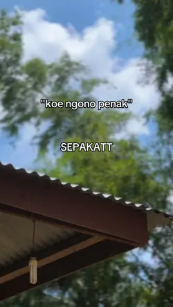 bahan story
