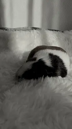 ich vermisse dich