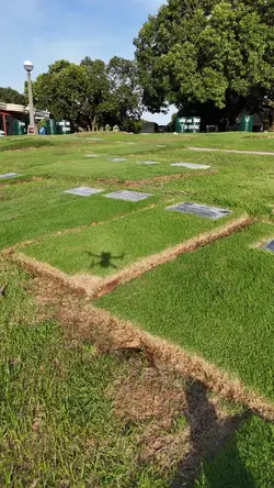 Cemetery