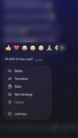oh jadi ini duo nya