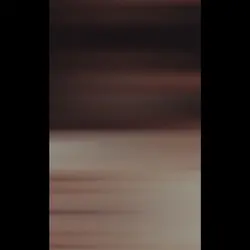 Elvis 