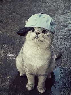 MẪU LYRICS STORY MÀU