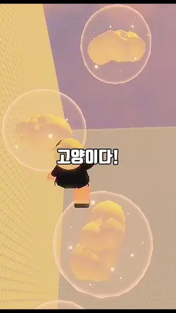 세 세구라이드-여유만만님음원