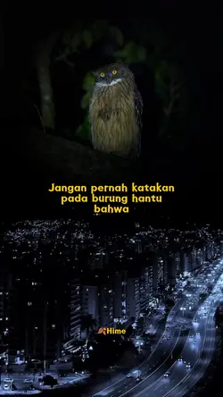 burung hantu