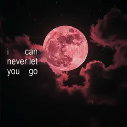I LOVE YOU SO 