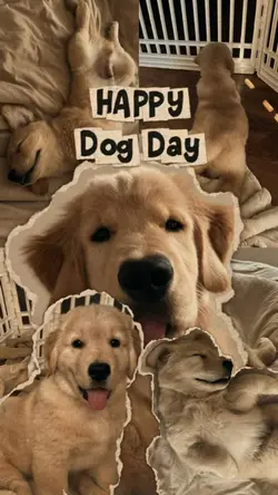 Happy Dog Day 😚