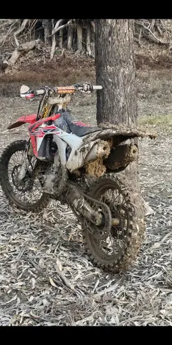 Wheelie