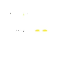Xem