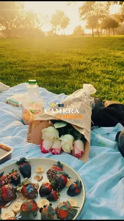 camera crumbs