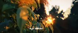 Aesthetic cinematic