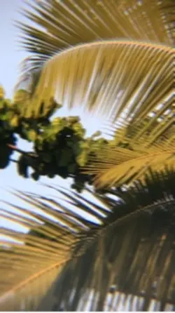 The sound of nature