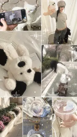 7 pics 
