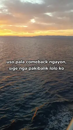 uso pala comeback