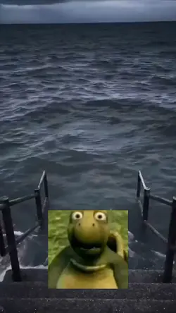 meme pantai + kura²