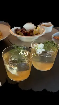 vlog