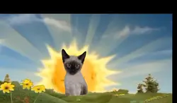 llegue a iluminar  