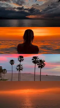 4 grid video