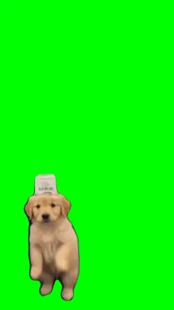 green screen