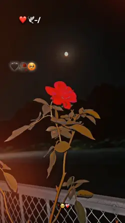 SLOWMO