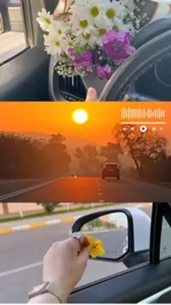 Bu şehirden