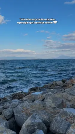 aşk şablonu 