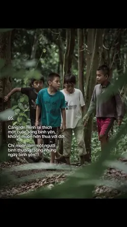 Caption + 1 Ảnh 