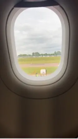 Window