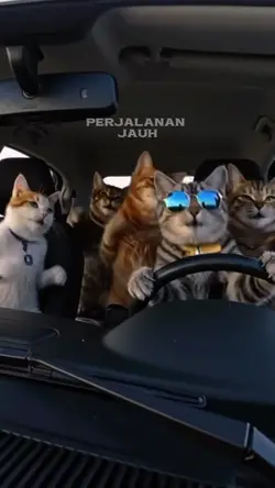balik kampung