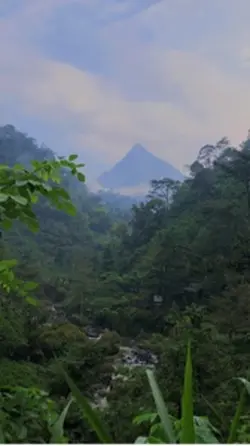 Suasana Desa