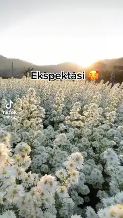 Ekspektasi vs realit